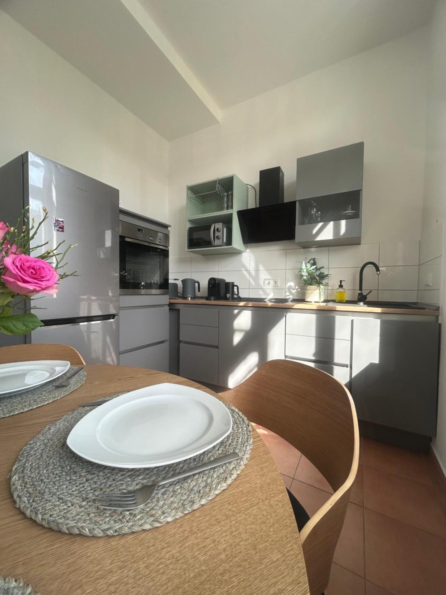Mintara Komfort Apartment Mit Grill -Terrasse, Sky Und Parkplatz Magdeburgo Exterior foto